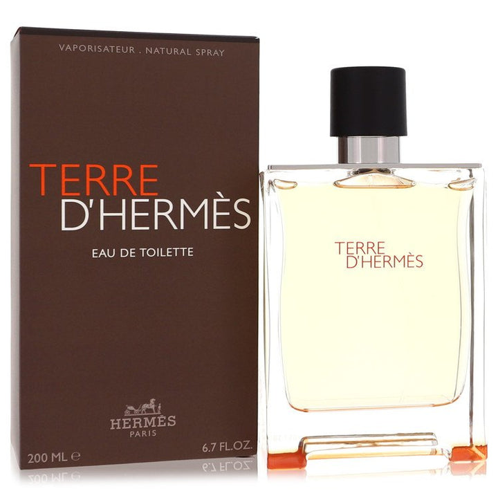 Terre D'hermes Eau De Toilette Spray By Hermes (Men) - Rochan Shop