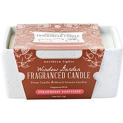 Window Garden Strawberry Poppyseed By Fragranced Candle (Unisex) - Rochan Shop